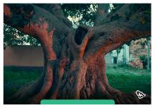 عمرها باقي طويل … عمرها بعمر السعودية